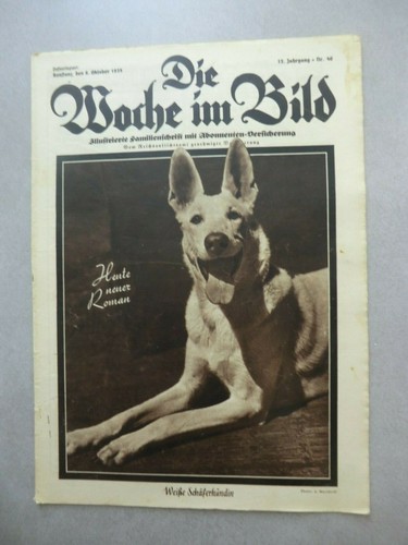 Die woche bild - die,